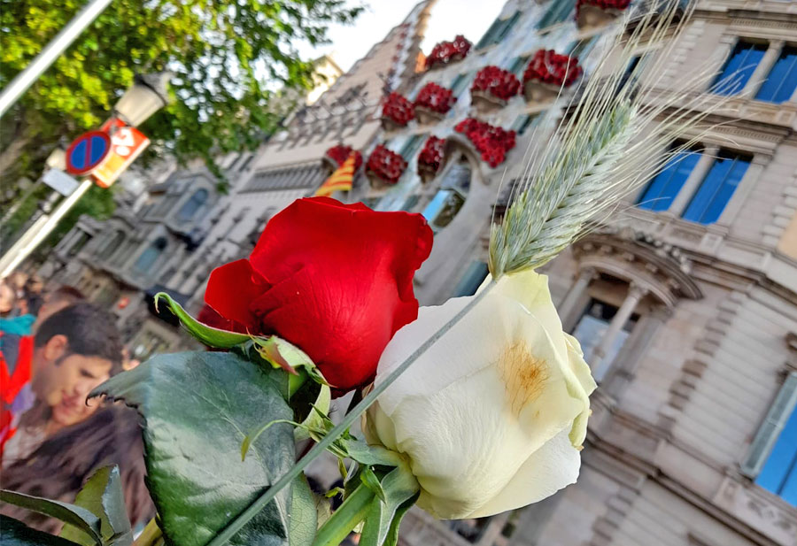 yaiza noguera san jordi menoutofthebox